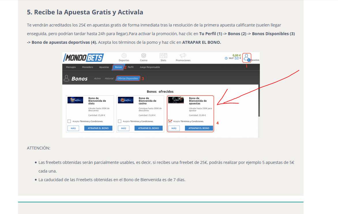6f444124-0bf2-4ea0-b326-6c4fceed216e-imagen.png